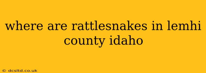 where are rattlesnakes in lemhi county idaho