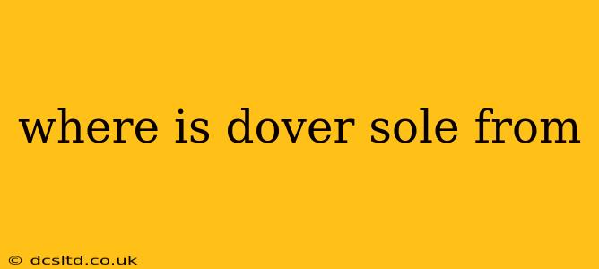 where is dover sole from