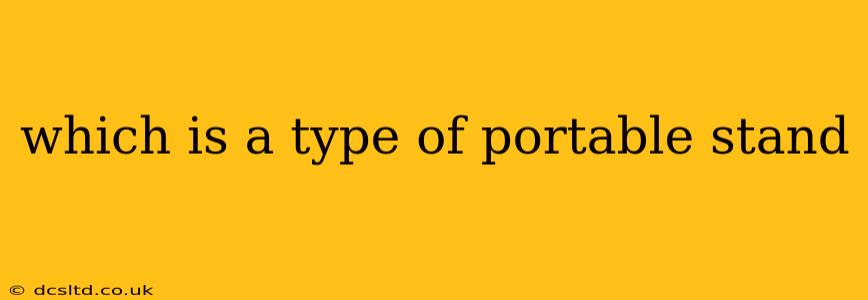 which is a type of portable stand