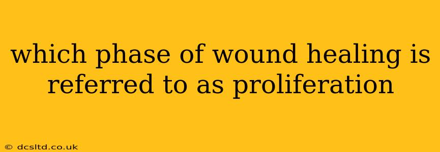 which phase of wound healing is referred to as proliferation