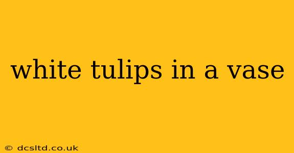 white tulips in a vase
