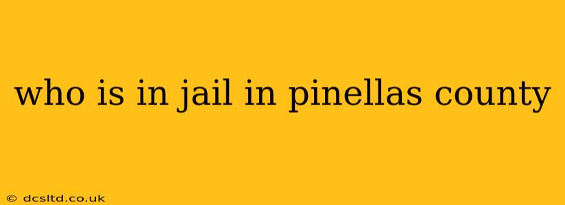 who is in jail in pinellas county