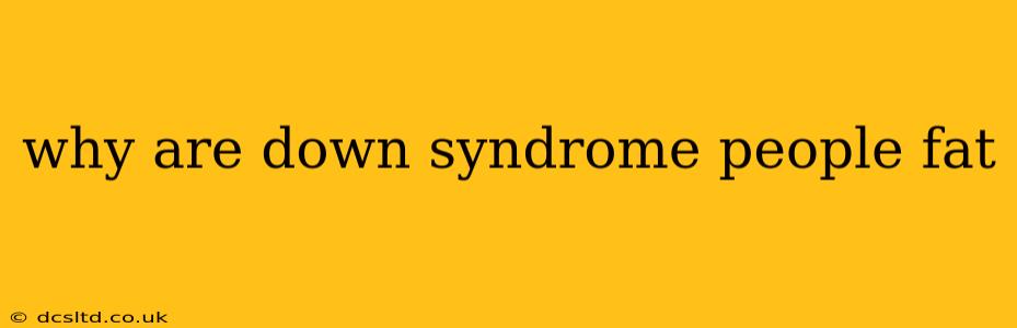 why are down syndrome people fat