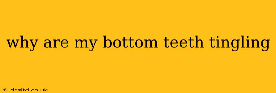 why are my bottom teeth tingling
