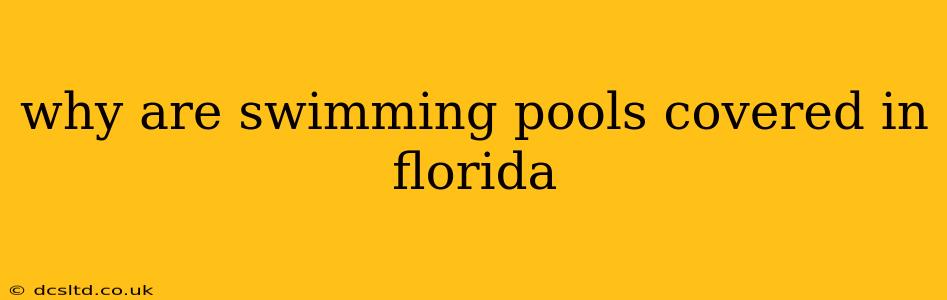 why are swimming pools covered in florida