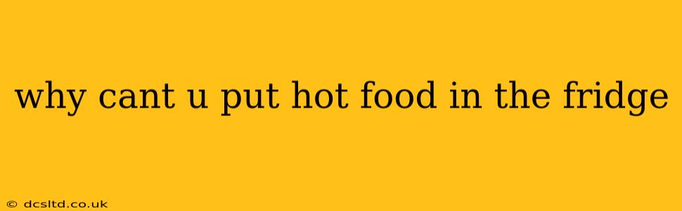 why cant u put hot food in the fridge