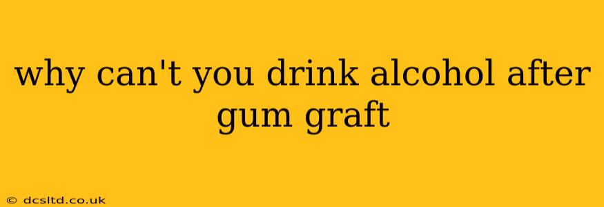 why can't you drink alcohol after gum graft