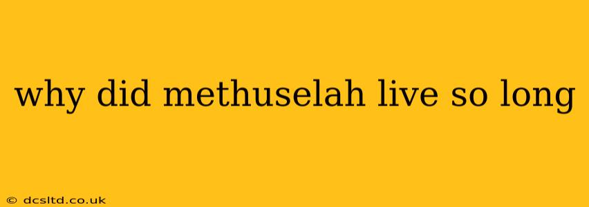 why did methuselah live so long