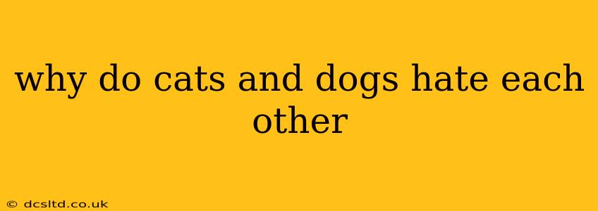 why do cats and dogs hate each other