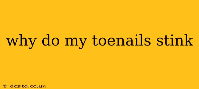 why do my toenails stink