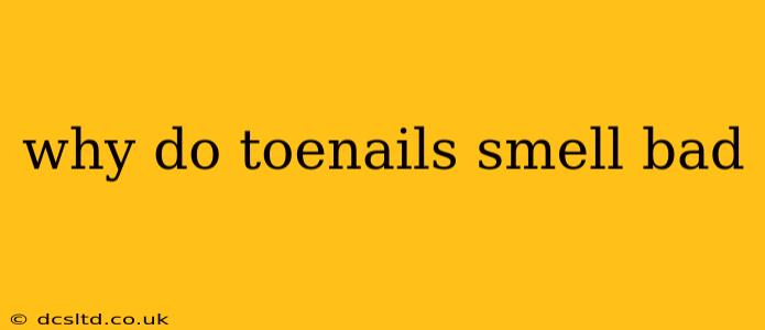 why do toenails smell bad