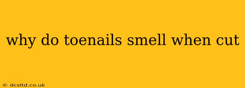 why do toenails smell when cut