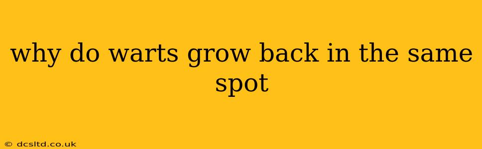 why do warts grow back in the same spot