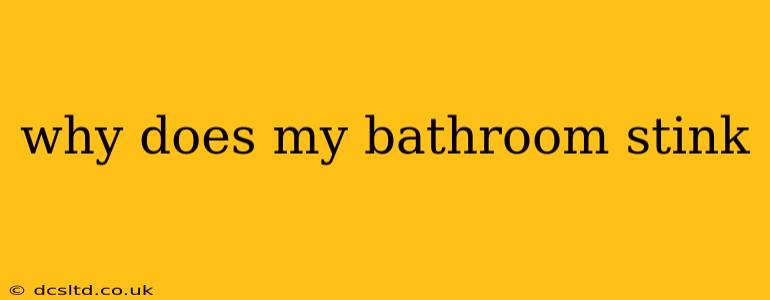why does my bathroom stink