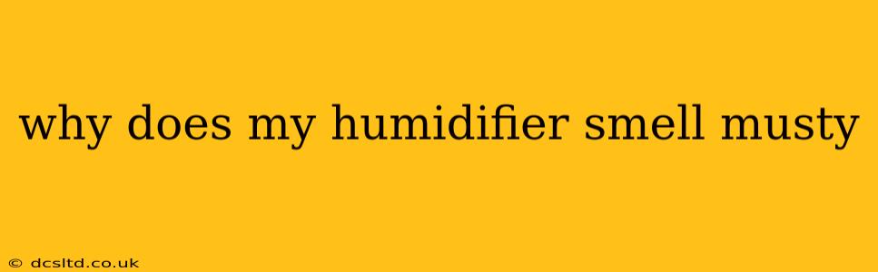 why does my humidifier smell musty