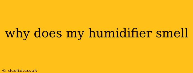 why does my humidifier smell