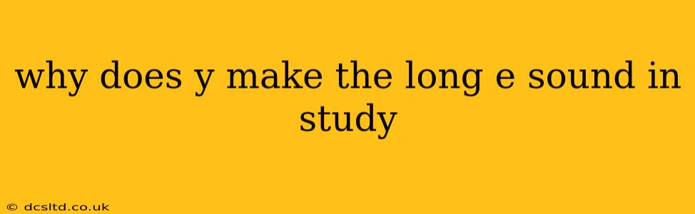 why does y make the long e sound in study