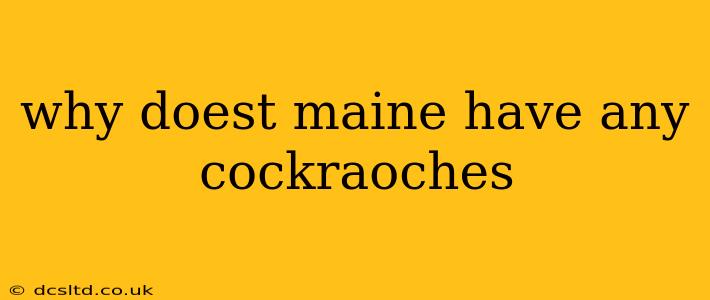 why doest maine have any cockraoches