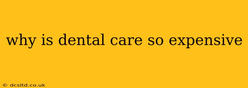 why is dental care so expensive