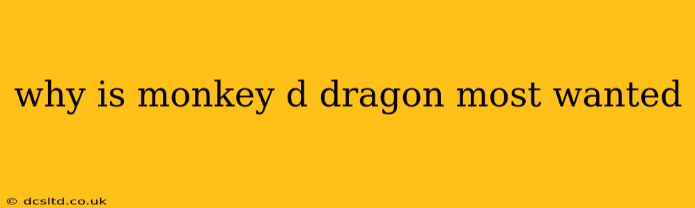 why is monkey d dragon most wanted