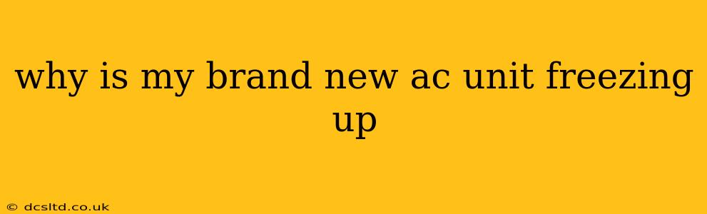 why is my brand new ac unit freezing up