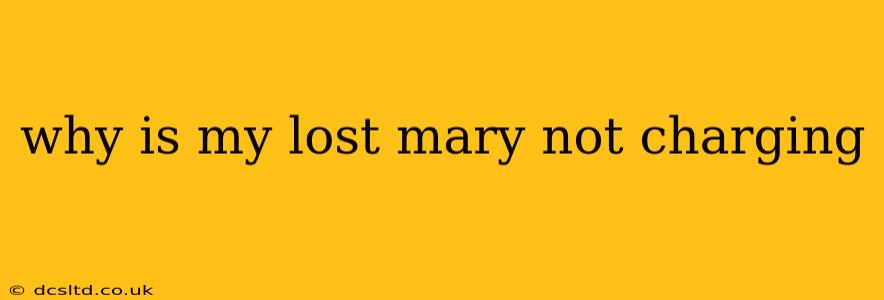 why is my lost mary not charging