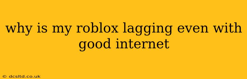 why is my roblox lagging even with good internet