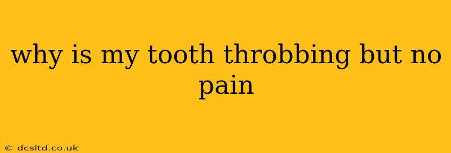 why is my tooth throbbing but no pain