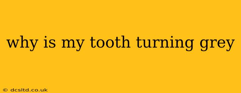 why is my tooth turning grey