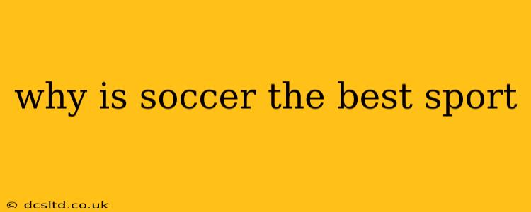 why is soccer the best sport