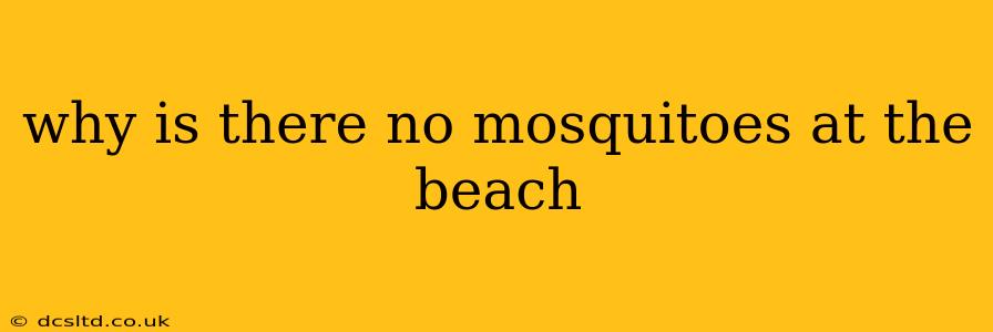 why is there no mosquitoes at the beach