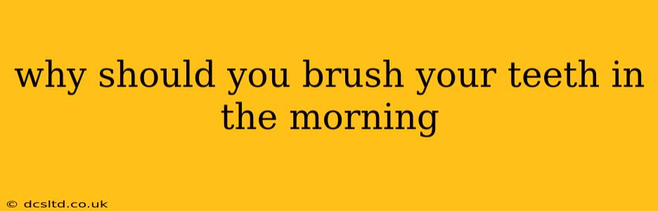 why should you brush your teeth in the morning