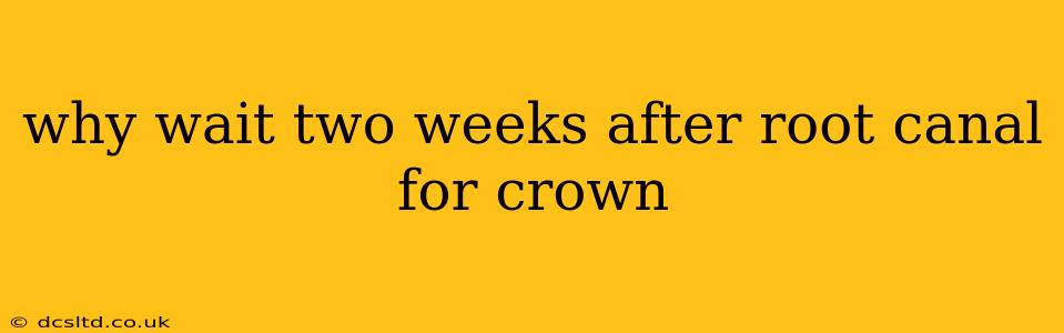 why wait two weeks after root canal for crown