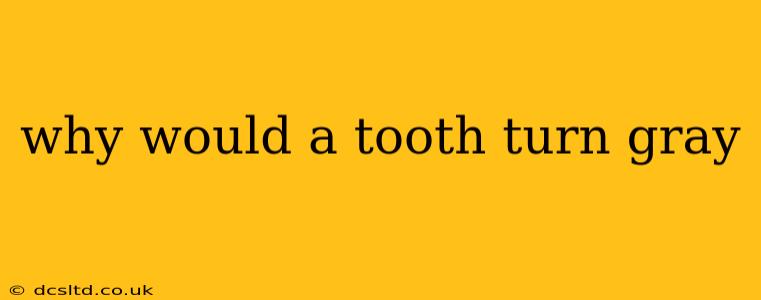 why would a tooth turn gray
