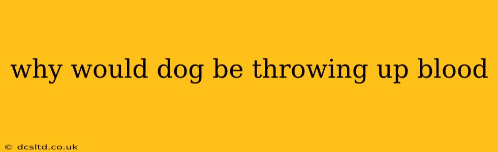 why would dog be throwing up blood
