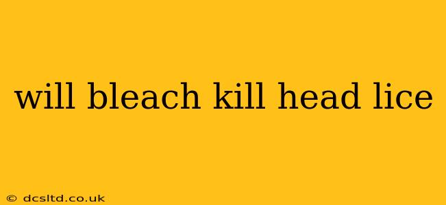 will bleach kill head lice
