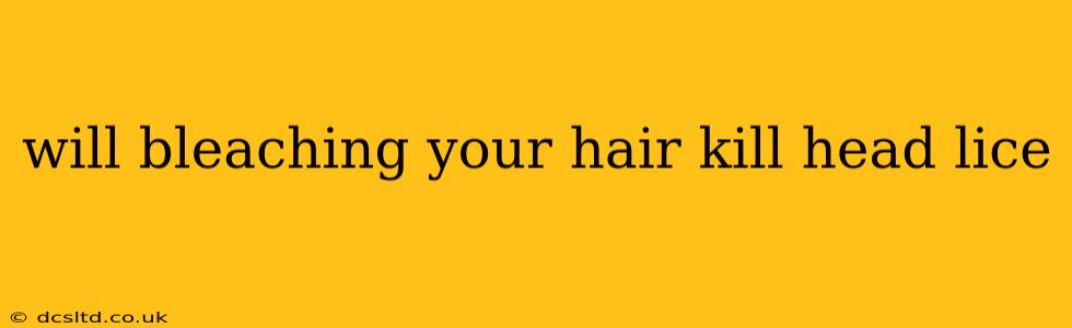 will bleaching your hair kill head lice