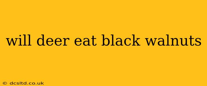 will deer eat black walnuts