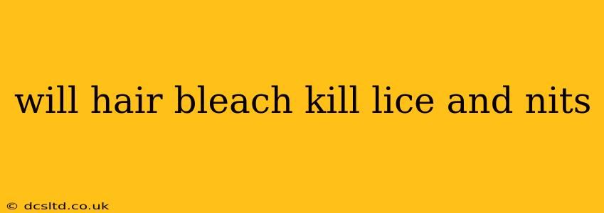 will hair bleach kill lice and nits