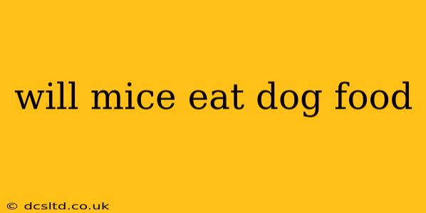 will mice eat dog food