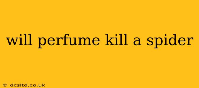 will perfume kill a spider