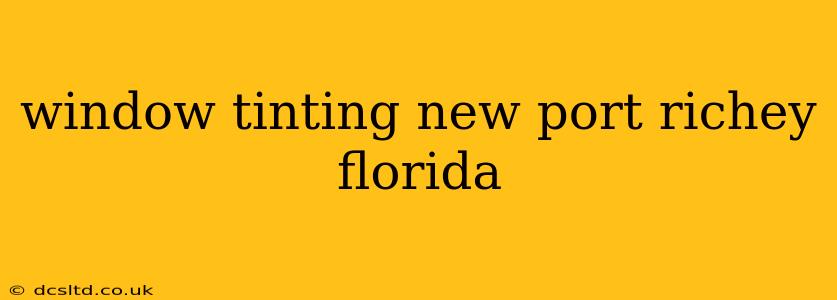 window tinting new port richey florida