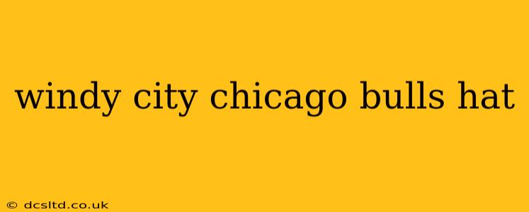 windy city chicago bulls hat