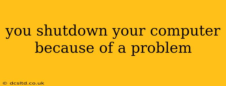 you shutdown your computer because of a problem